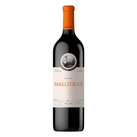 Malleolus 2021