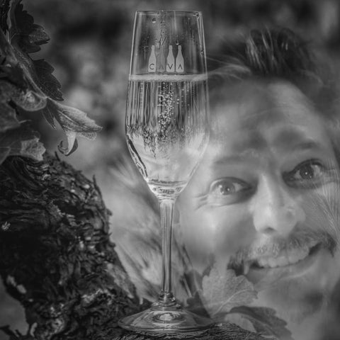 Cava: El alma espumosa de España